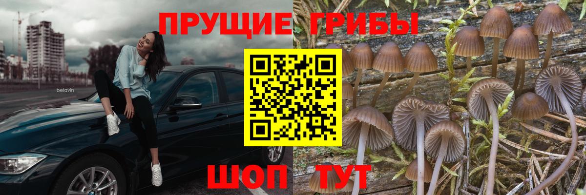 Галлюциногенные грибы мухоморы Нижнеудинск